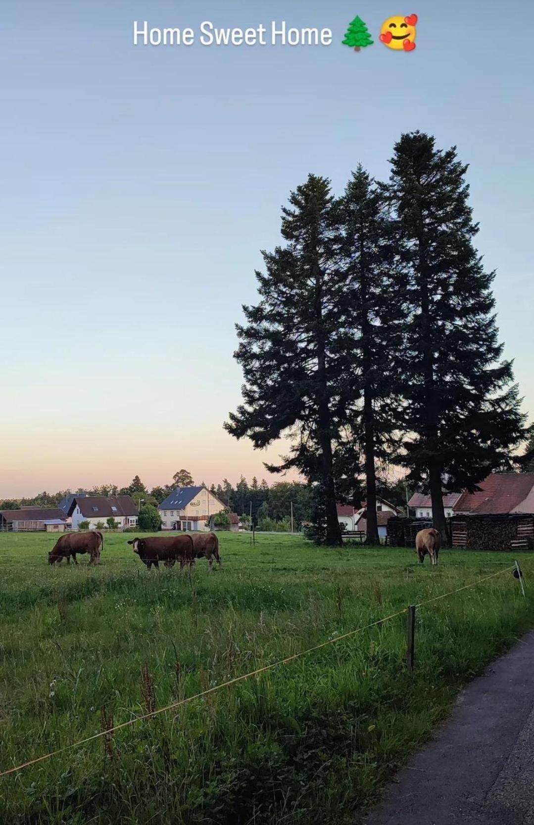 Chickenhill Blackforest, Ferienwohnung Grosshans Bad Wildbad Luaran gambar