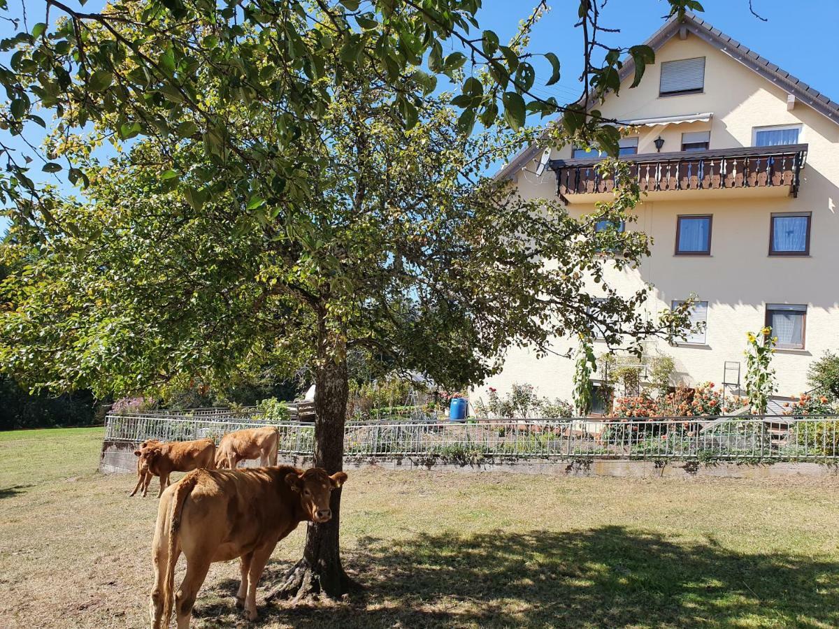 Chickenhill Blackforest, Ferienwohnung Grosshans Bad Wildbad Luaran gambar